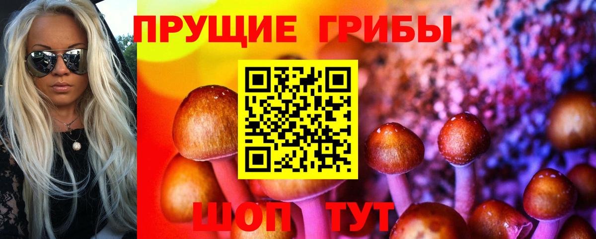 Псилоцибиновые грибы мицелий  Вход с VPN  Заволжье 